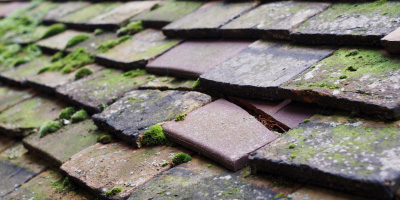 Medbourne roof repair costs